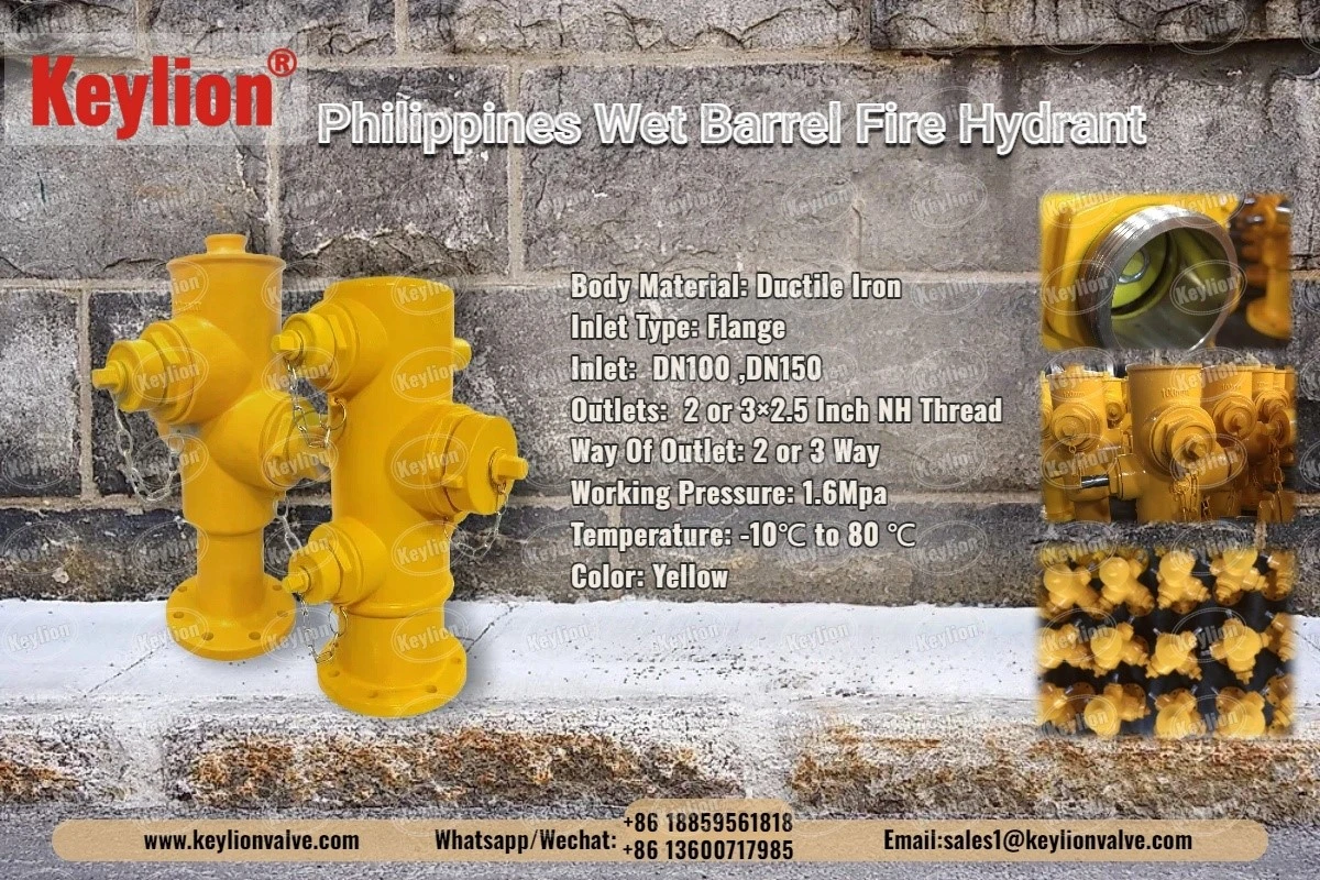 Philippines Hydrant